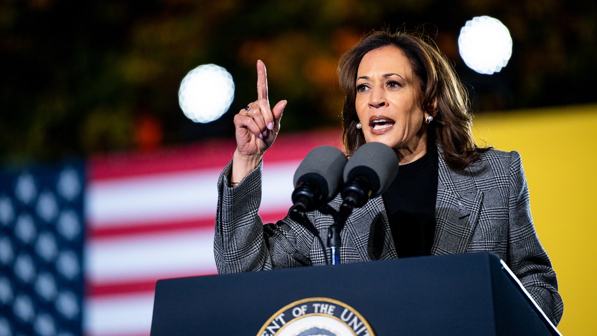 Kamala Harris speaking astatine  rally