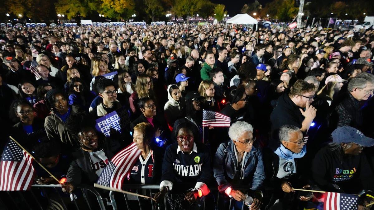 Supporters cheer during a campaign rally with Democratic presidential nominee Vice President Kamala Harris in Washington, Tuesday, Oct. 29, 2024.