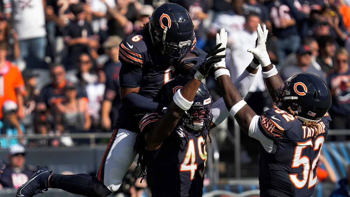 Bears-Panthers fight leads to ejections in Chicago's blowout win  at george magazine