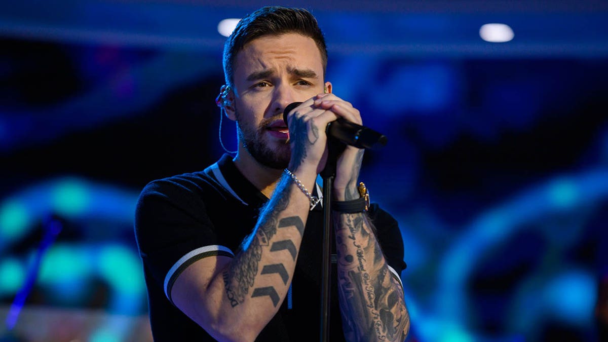 Singer Liam Payne sings into a microphone during a concert.