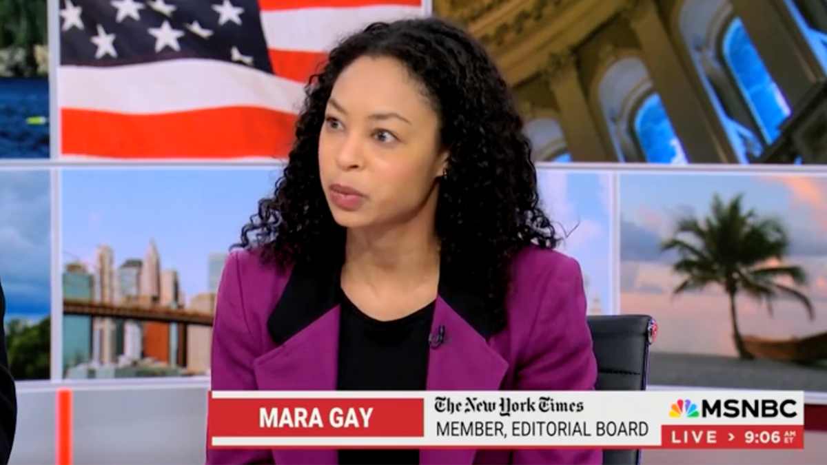 Gay on MSNBC set