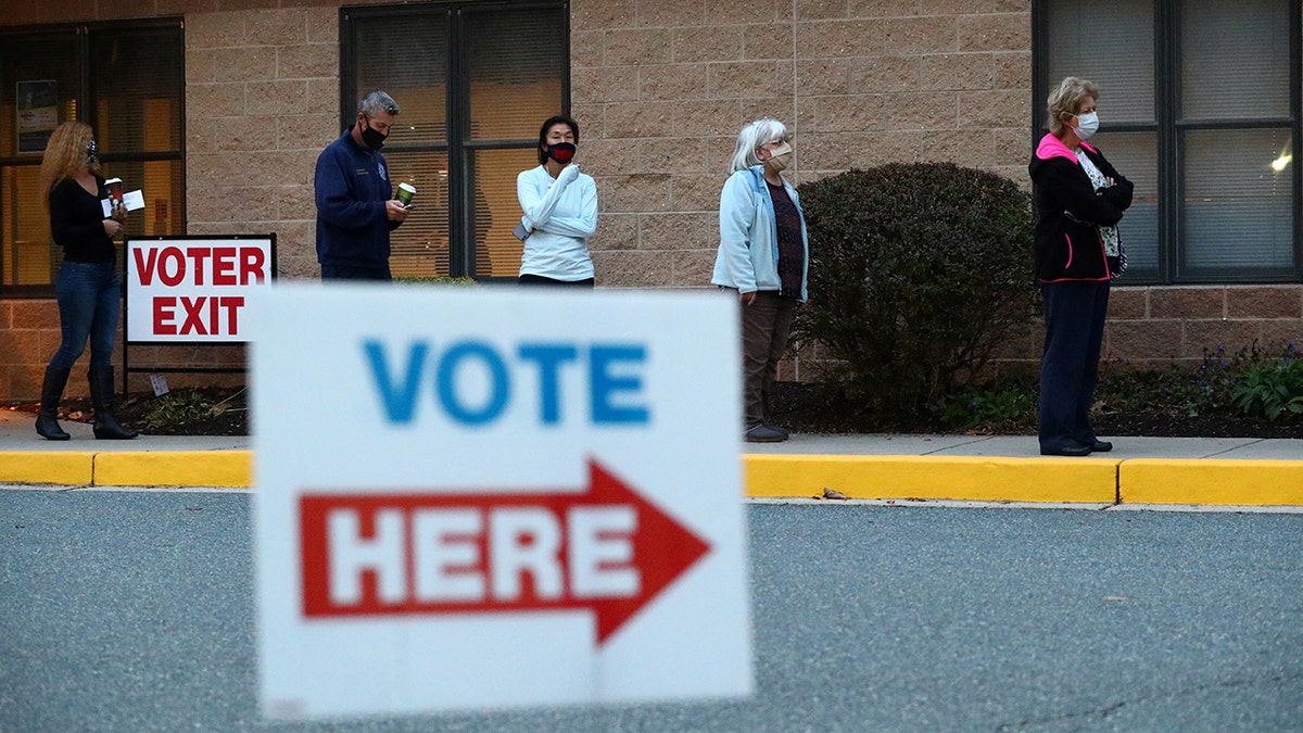 Voters are lining up to cast their early votes in the 2020 election