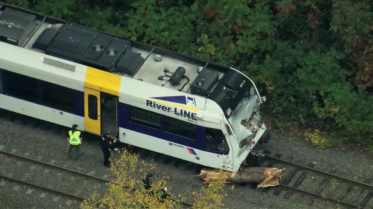 Tree collision on NJ Transit