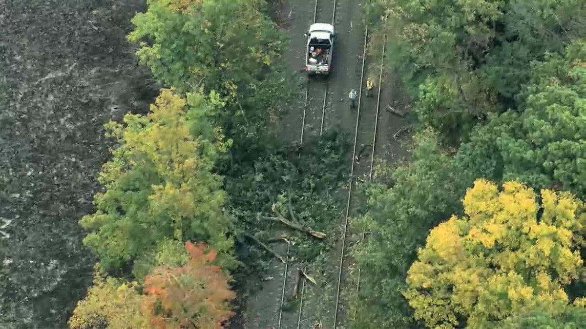 NJ Transit train hits tree