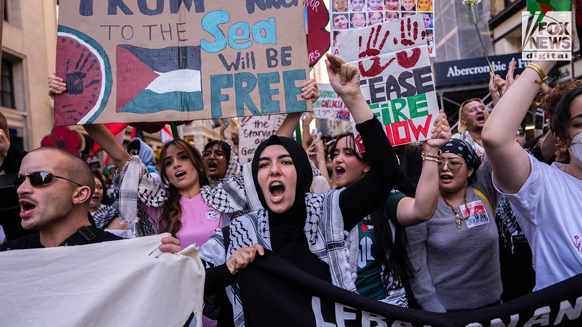 anti-Israel agitators on campus