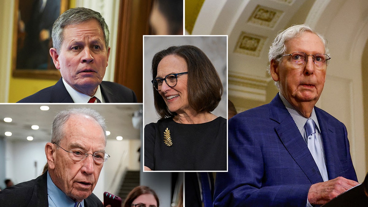 Steve Daines, Chuck Grassley, Deb Fischer, Mitch McConnell