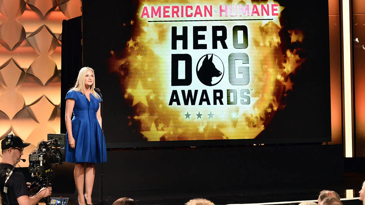 Hero dogs across the nation are nominated for award from American Humane