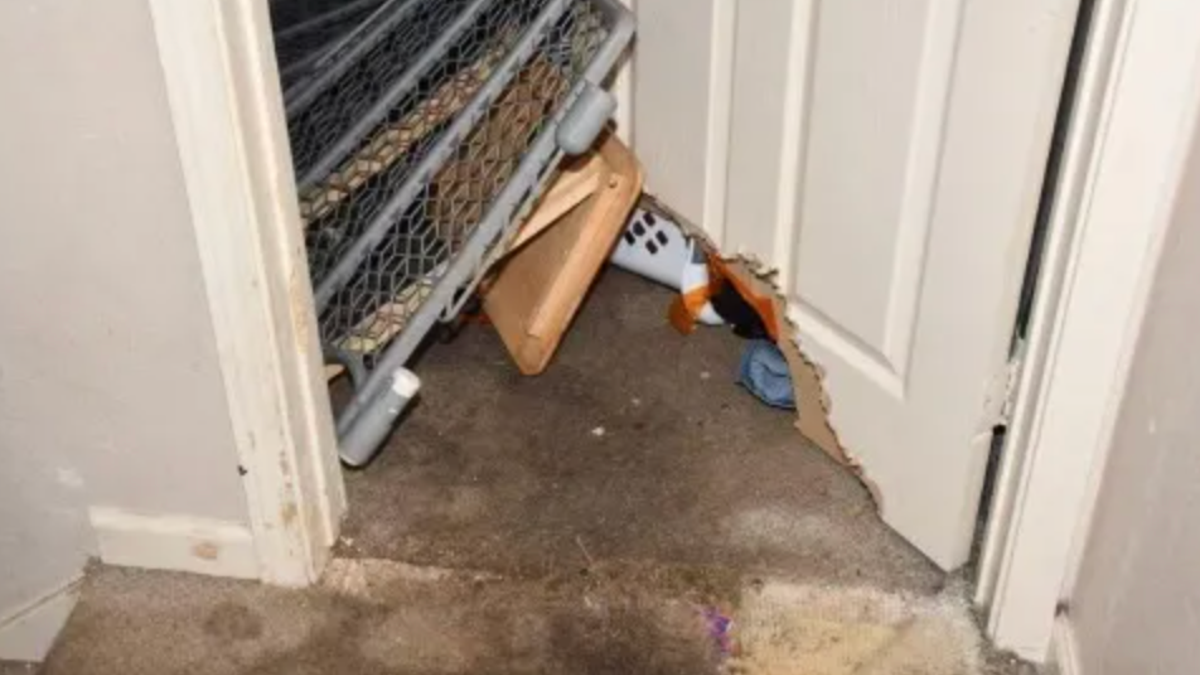 A toddler and teenager were allegedly left alone by their babysitter an attacked by her dogs. These are the stairs inside the home of babysitter Heather Rodriguez.