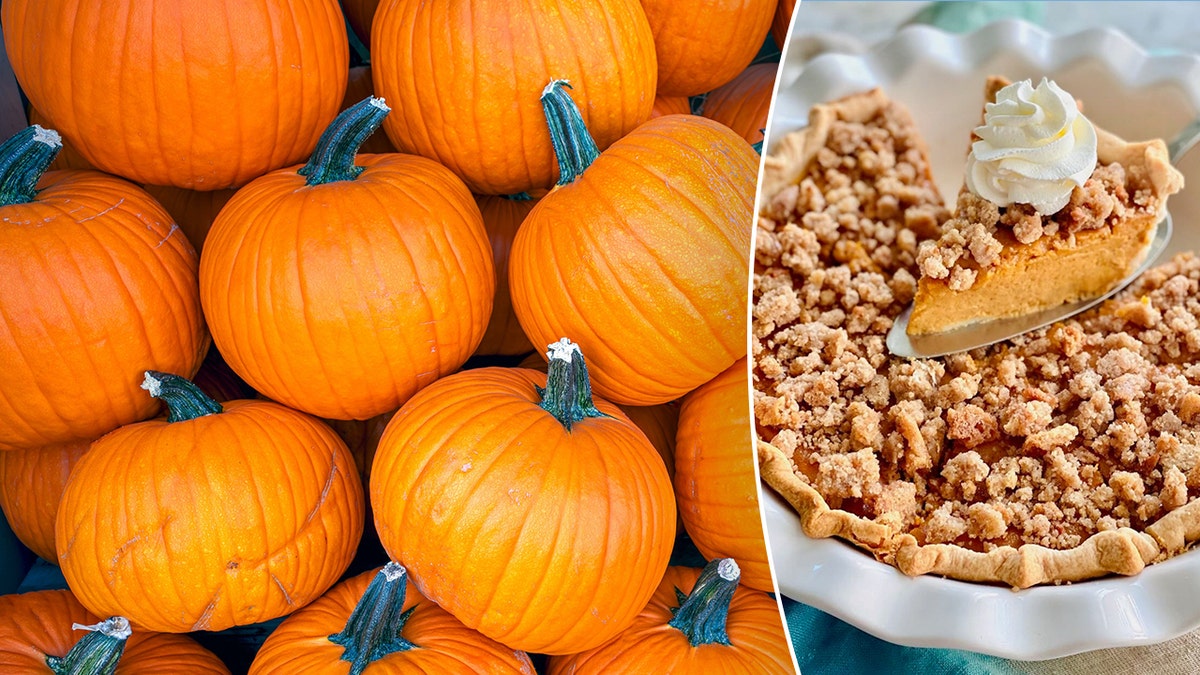 Pumpkins, left, are one-half of the combined flavors of the snickerdoodle pumpkin pie, right.