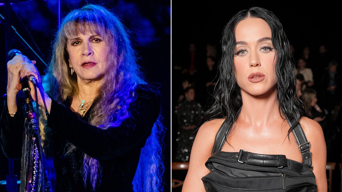 A divided  representation  of Stevie Nicks and Katy Perry