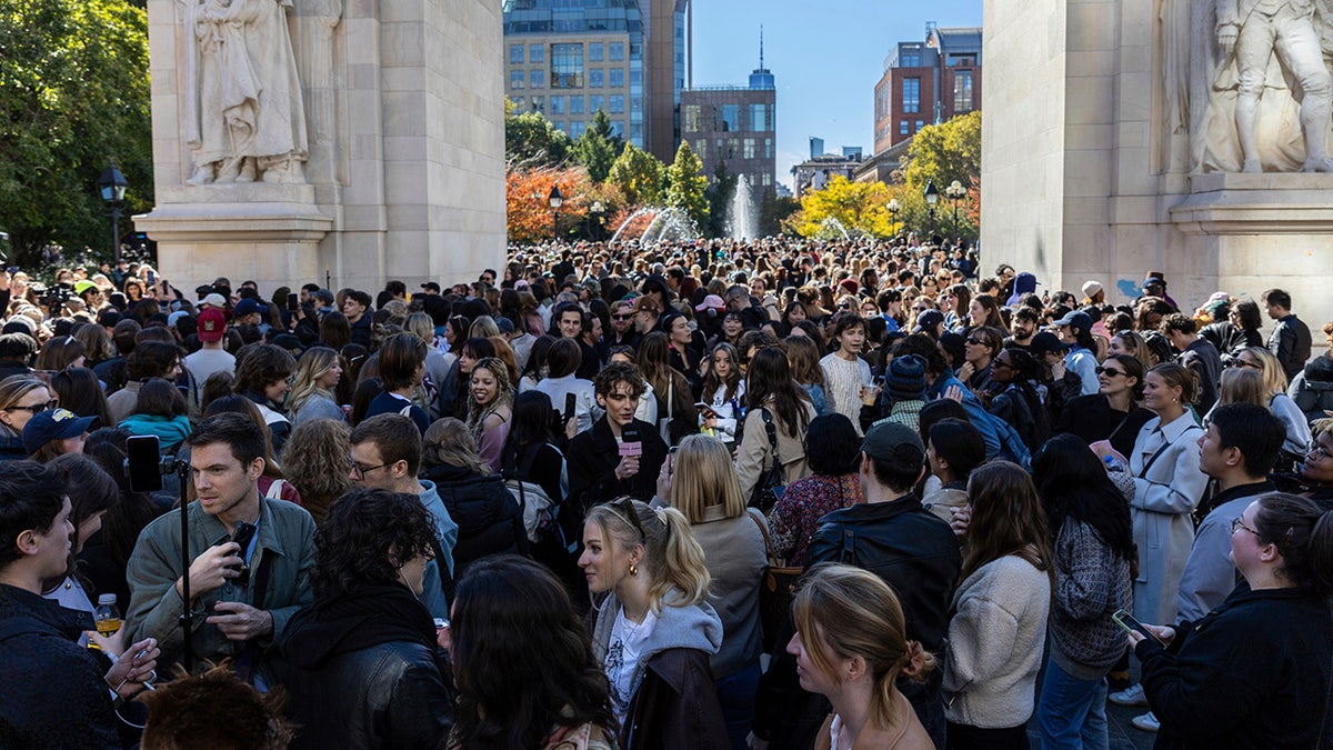 Massive assemblage  gathered for Timothee Chalamet lookalike contest