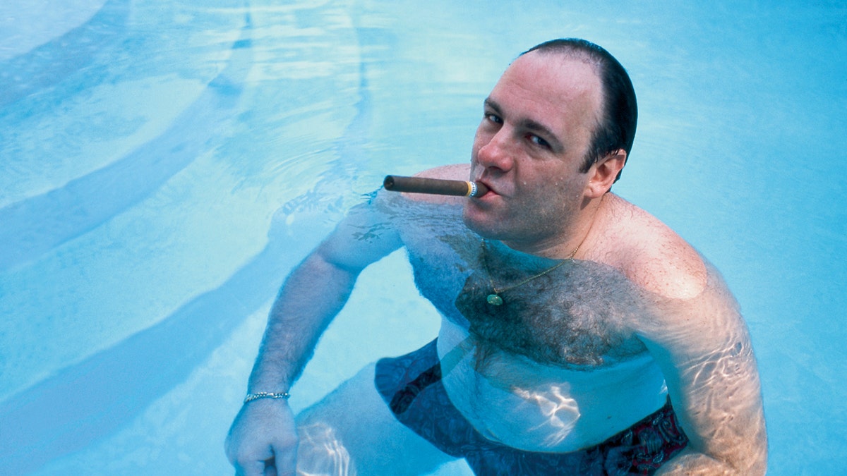 Tony Soprano in pool