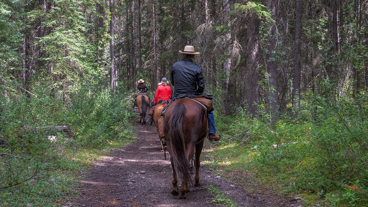 horseback riding on trail