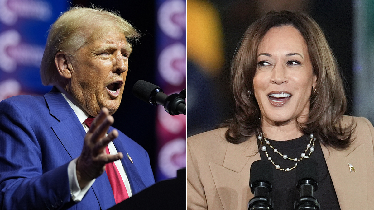 Trump and Harris in the election campaign