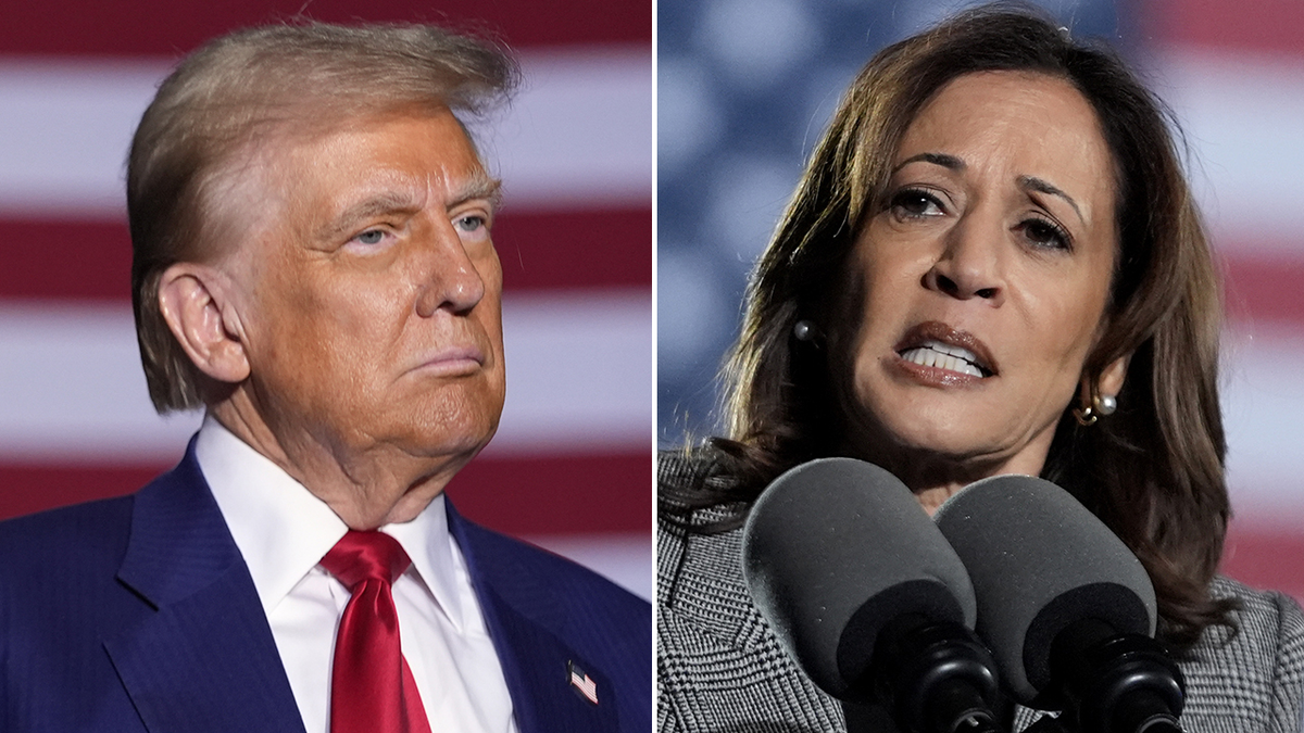 Trump and Harris successful  Michigan