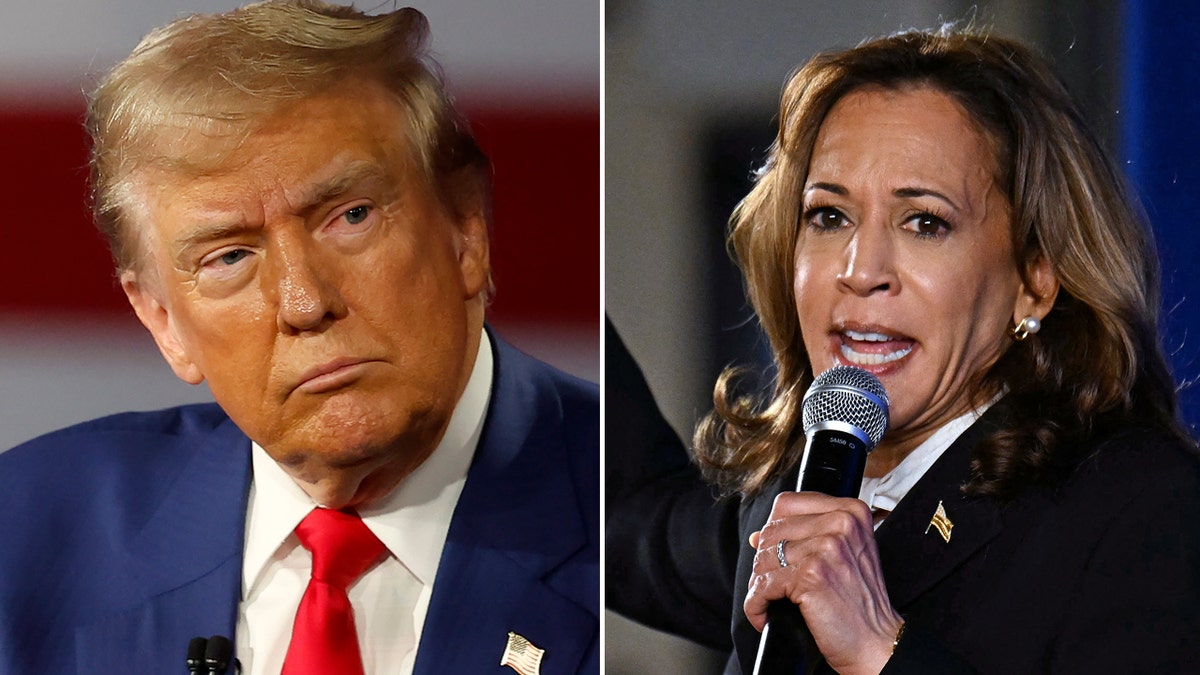 Trump and Harris in Pennsylvania divide the picture