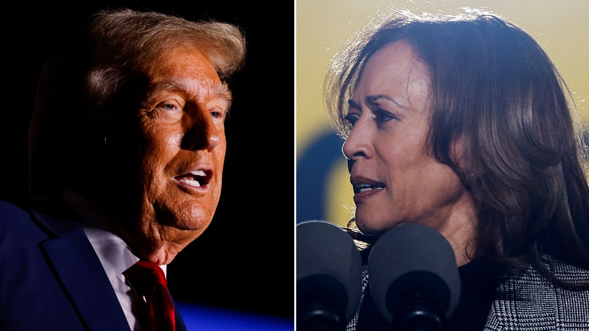 Split representation  of Trump and Harris