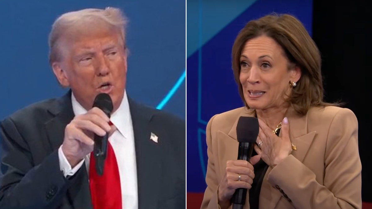 Photo separation between Trump and Harris