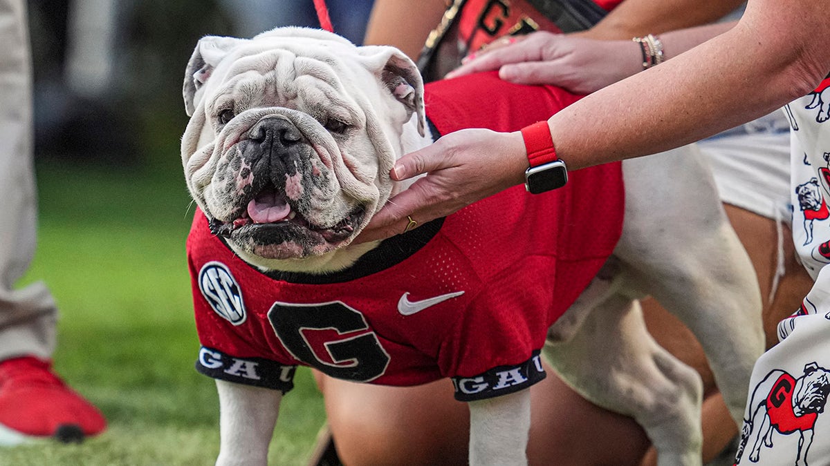 Uga XI astatine  Georgia-Mississippi State game