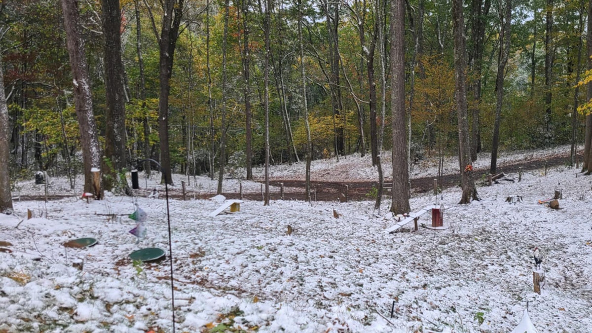 Western NC snowfall  3  weeks station  Helene