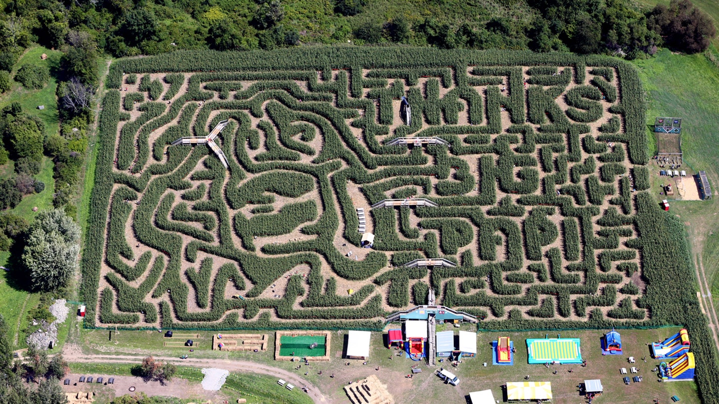 davis mega maze massachusetts