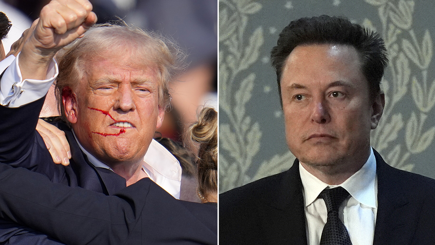 Elon Musk's Unwavering Support for Trump: A Journey into Political Polarization