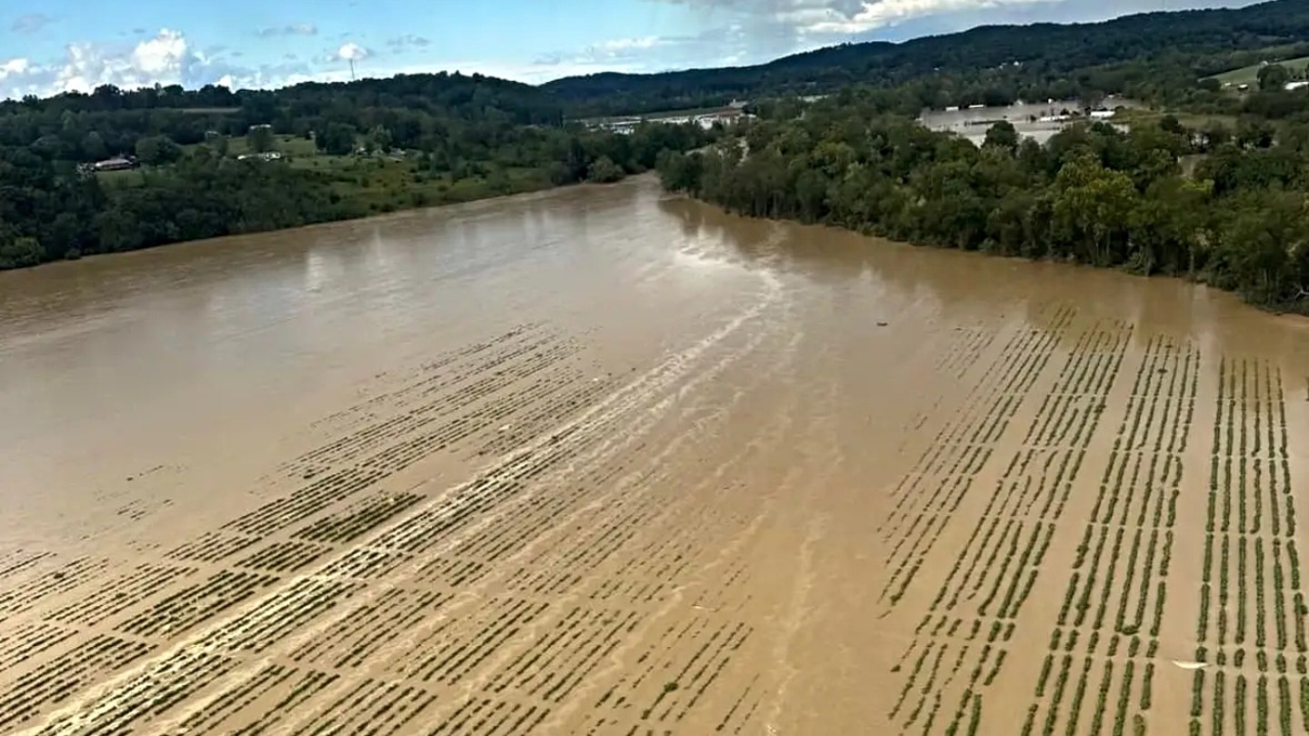 Devastating Losses: Hurricane Helene Pummels Southeast Farms, Causing Billions in Damage