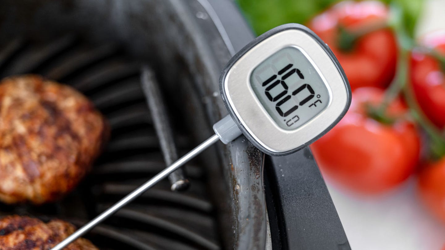 meat thermometer