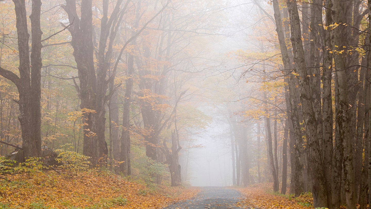 misty road in vermont