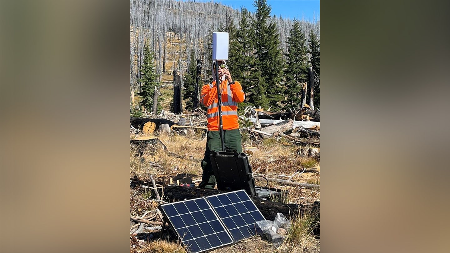 mount adams monitoring 2