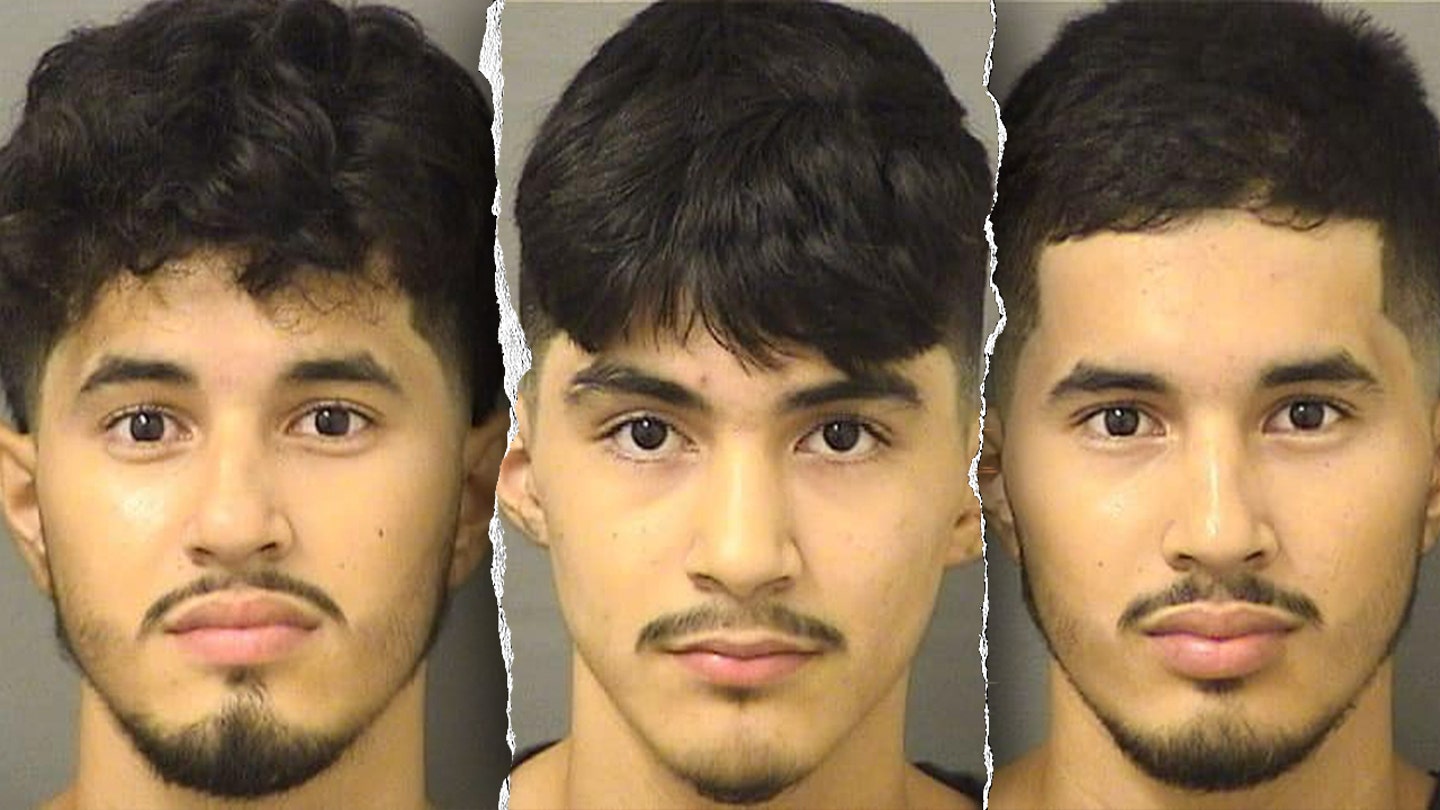 Trio of Illegal Immigrants Arrested for Sexual Crimes Against a Child in Florida