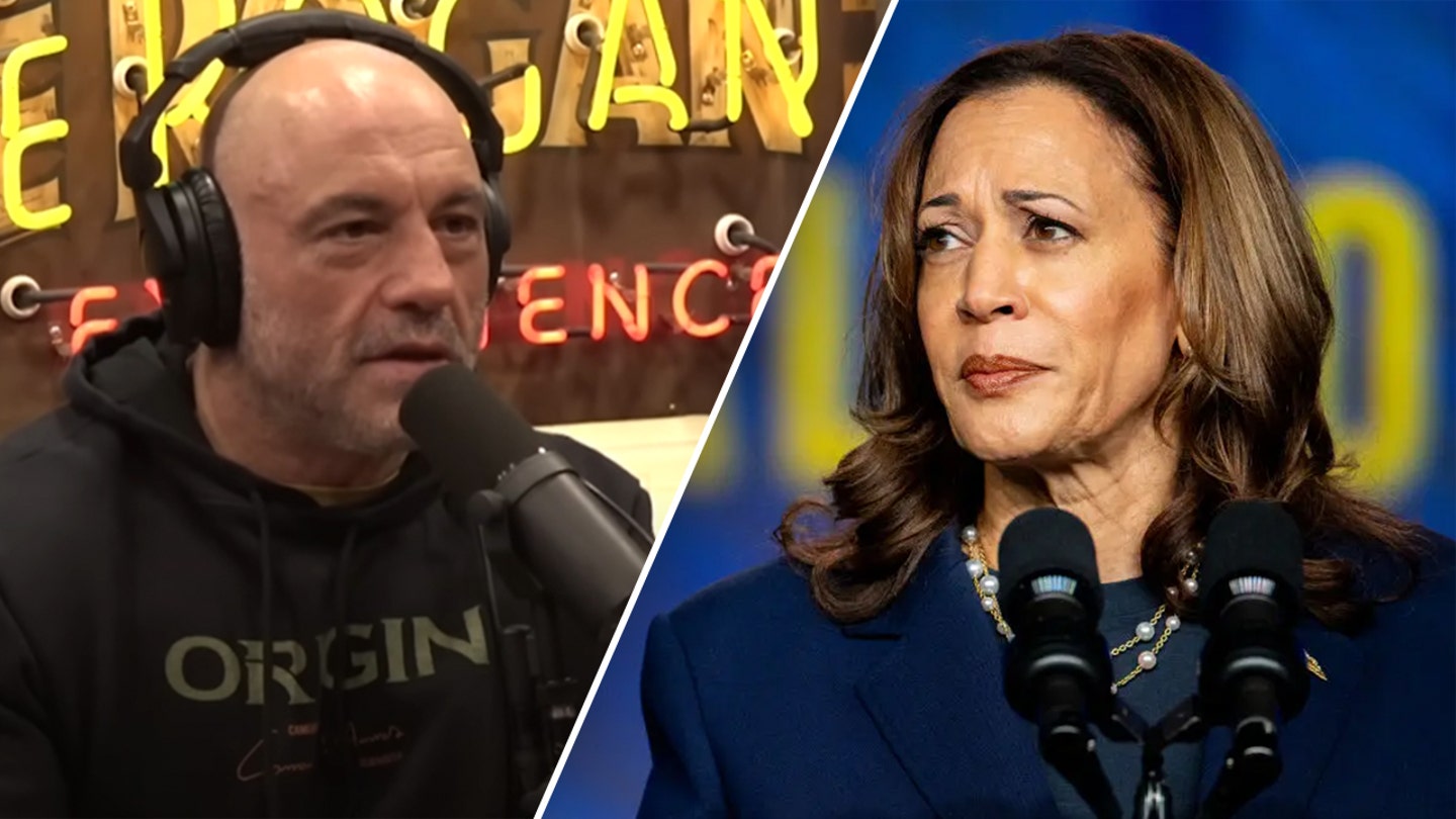 Joe Rogan Reveals Why Kamala Harris Interview Didn't Happen