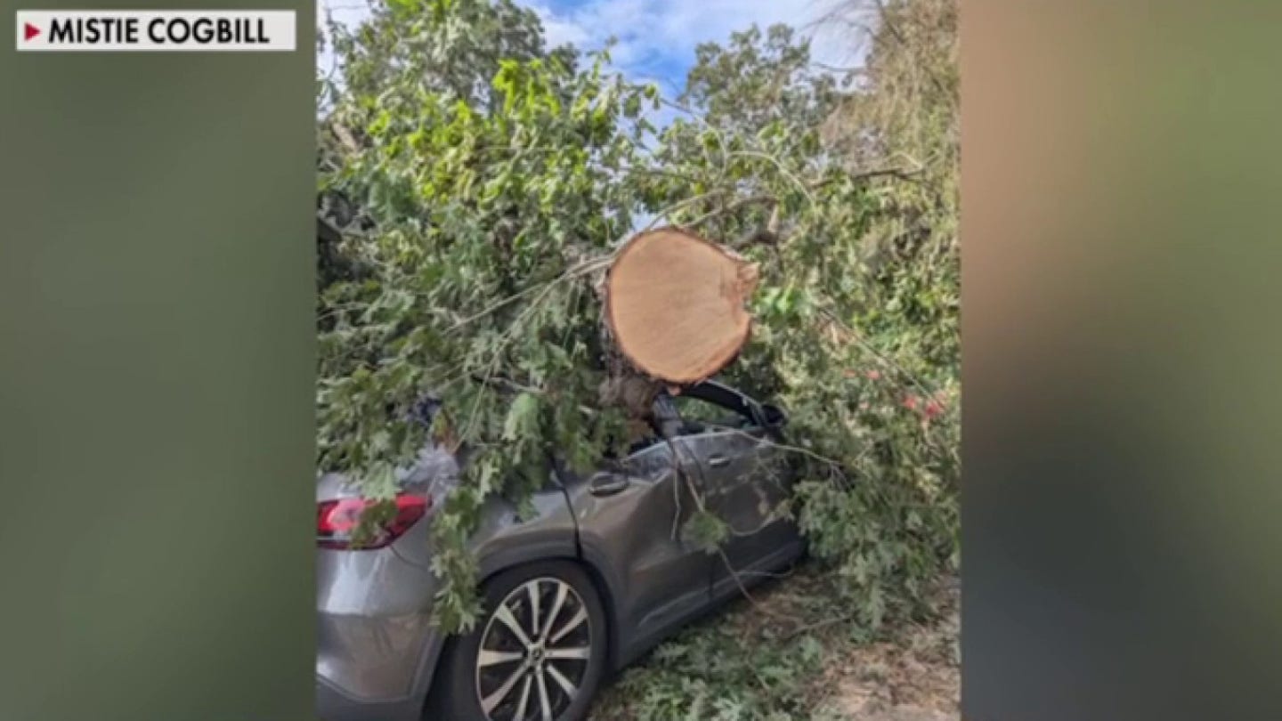 North Carolina Resident's Heartbreaking Plea for Help After Hurricane Helene's Devastation