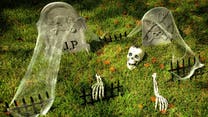 10 must-have Halloween yard decorations that are spooky and fun! - Fox News