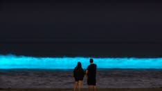 Florida's glowing waters among the natural wonders inspiring travelers in year ahead