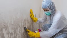 Hurricane flooding: 3 health warnings about mold growing in your home