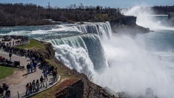 Woman jumps into Niagara Falls with 2 young sons in 'intentional act': police - Fox News