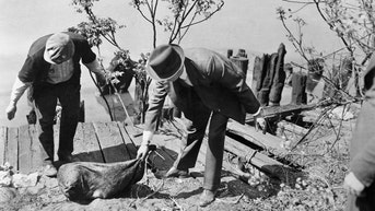 New look at victims could uncover more about mysterious murderer - Fox News