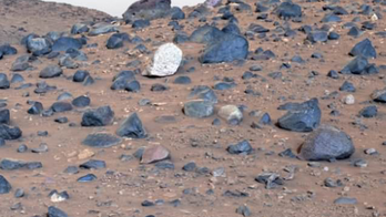 La NASA publica la vista más clara de Marte, se ven rocas azules en el paisaje