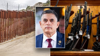 GOP lawmaker unveils effort to ban illegal immigrants from using IDs to buy guns