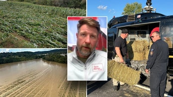 Hurricane Helene: 'Backbone of America' helping farmers across Southeast who lost billions in crops, land