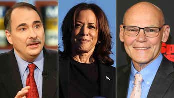 Kamala Harris' Momentum Wanes Amid Concerns, Democratic Strategists Call for More Aggression