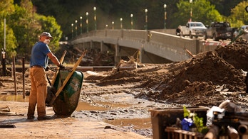 Hurricane Helene flooding in NC stirs yellow jacket swarms, prompting distribution of Benadryl and EpiPens