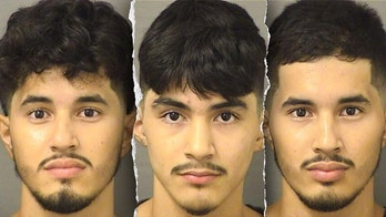 Illegal immigrants arrested in wealthy Florida county for sexual crimes against a child