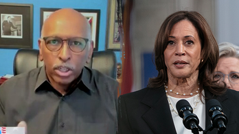 Steele Defends Harris's Media Approach, Slams Democrats and Press for Double Standards