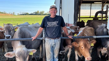 SEE IT: Wisconsin dairy farmer says 'no question' Trump admin was 'much better' than Biden-Harris