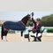 Paralympic equestrian rider reflects on finally winning gold in fifth Games in Paris