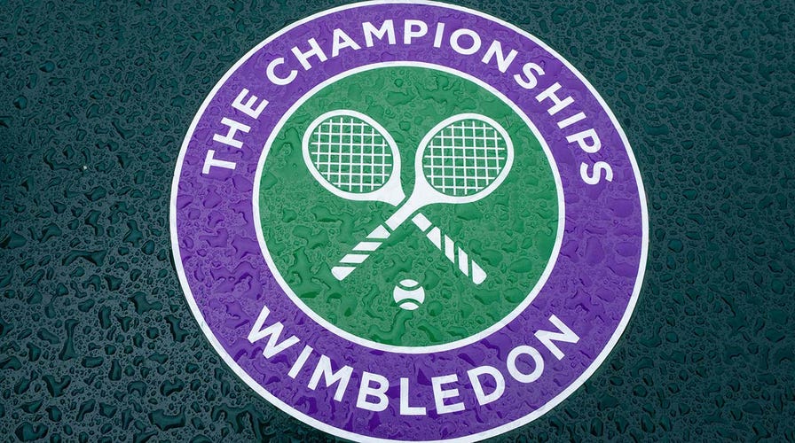 ウィンブルドン　ボタン　THE CHAMPIONSHIPS WIMBLEDON Wimbledon to replace human judges with electric line-calling