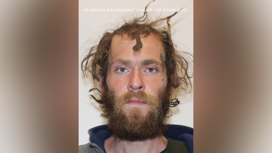 A mugshot of David Wayne