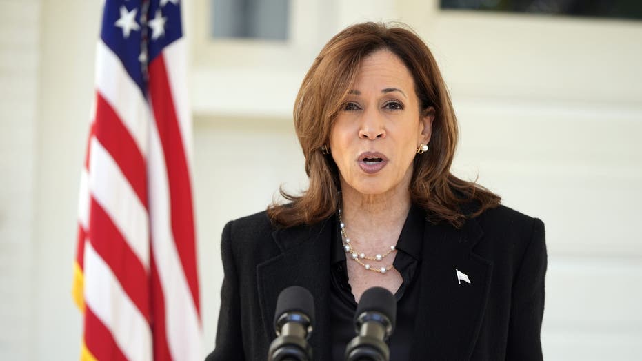 Harris acusa Trump de buscar ‘poder desenfreado’, ‘involuntário e instável’ | DailyNerd